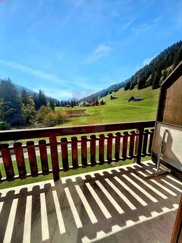 Charmantes 2.5-Zimmer-Dachwohnung in Les Mosses mit außergewöhnlicher Aussicht – Foto 12 von 13