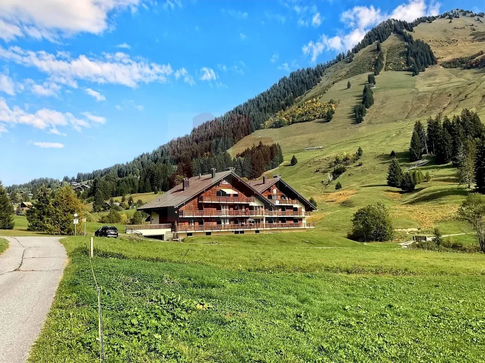 Charmantes 2.5-Zimmer-Dachwohnung in Les Mosses mit außergewöhnlicher Aussicht – Foto 2 von 13