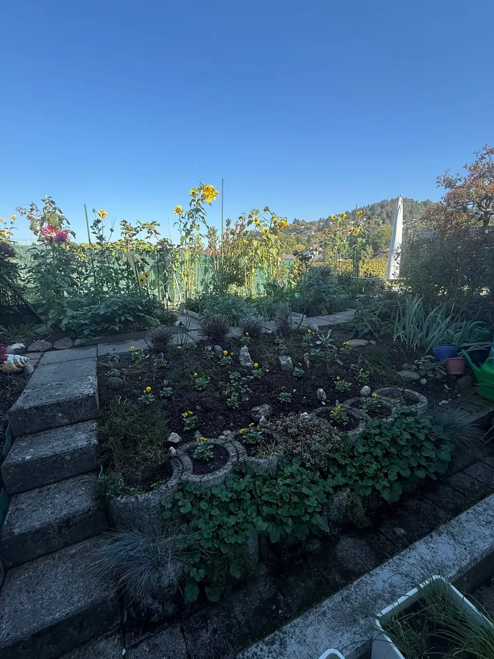 Maison de rang de 5,5 pièces à Niederscherli – ensoleillée + conviviale pour les enfants – photo 20 sur 29