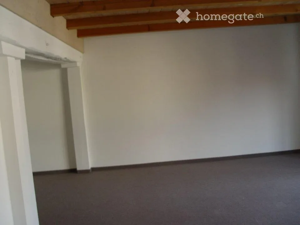 Schöne 2,5 Zimmer Wohnung mit Autoabstellplatz + Kellerraum – Foto 3 von 5