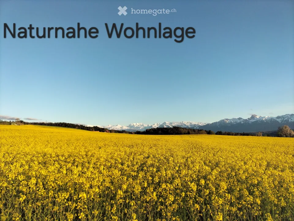 3 Zimmer Dachwohnung – Foto 4 von 5