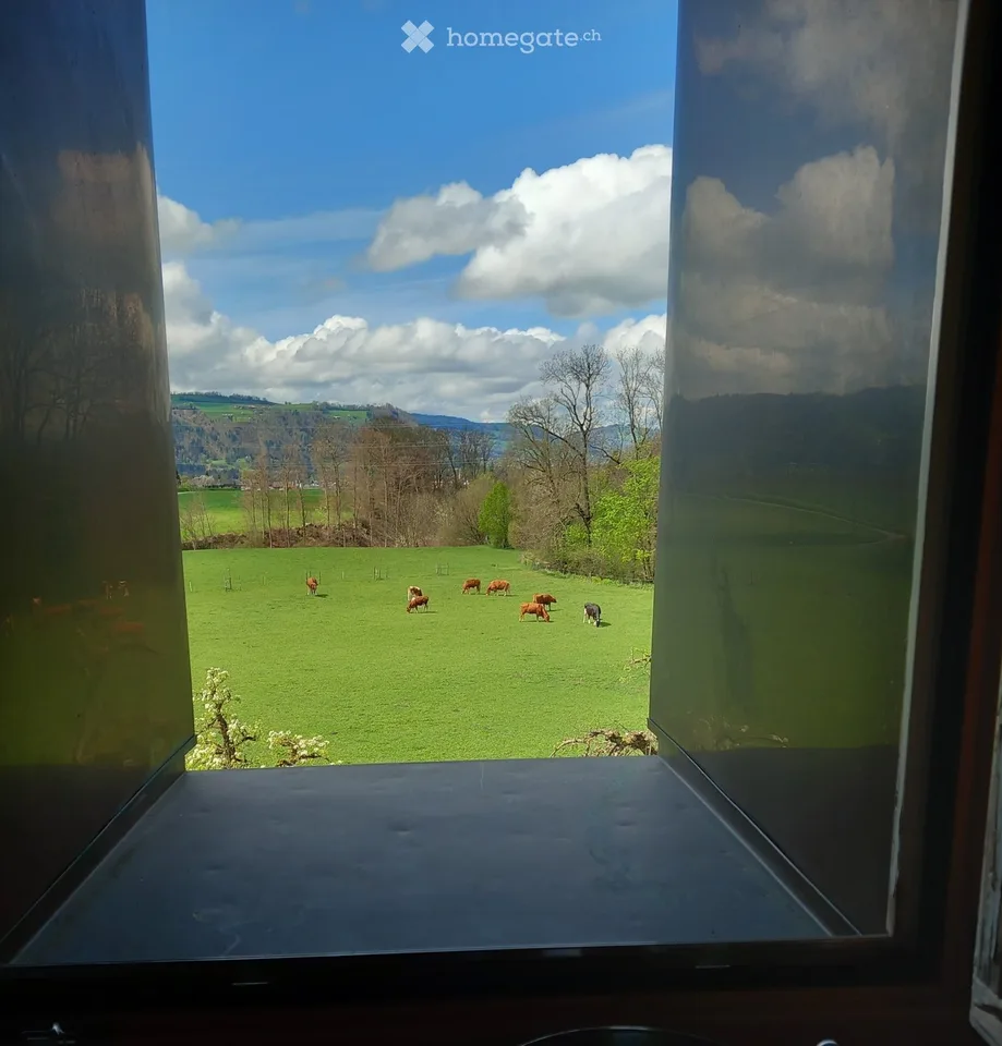 3 Zimmer Dachwohnung – Foto 5 von 5