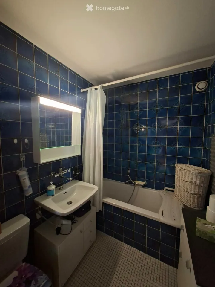 Große, helle 2,5-Zimmer-Wohnung mit Seeblick – Foto 2 von 5
