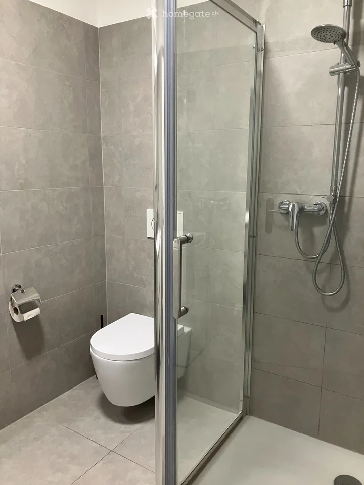 Suche Einziehender für 2,5-Zimmer-Wohnung in Cadenazzo – Foto 3 von 5