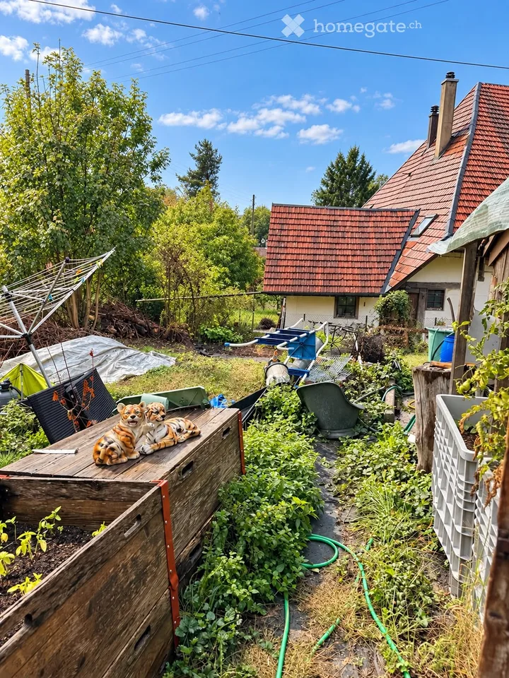 Maison unifamiliale à Erlinsbach – Potentiel pour un projet de nouvelle construction – photo 3 sur 10