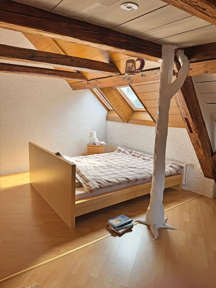 Two-family/intergenerational house - with style and original charm – photo 24 of 26