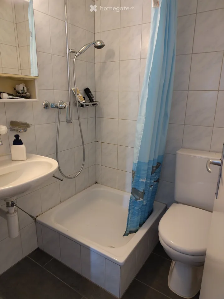 Ruhige Wohnung mit Top-Aussicht in Münchenbuchsee – Foto 5 von 5