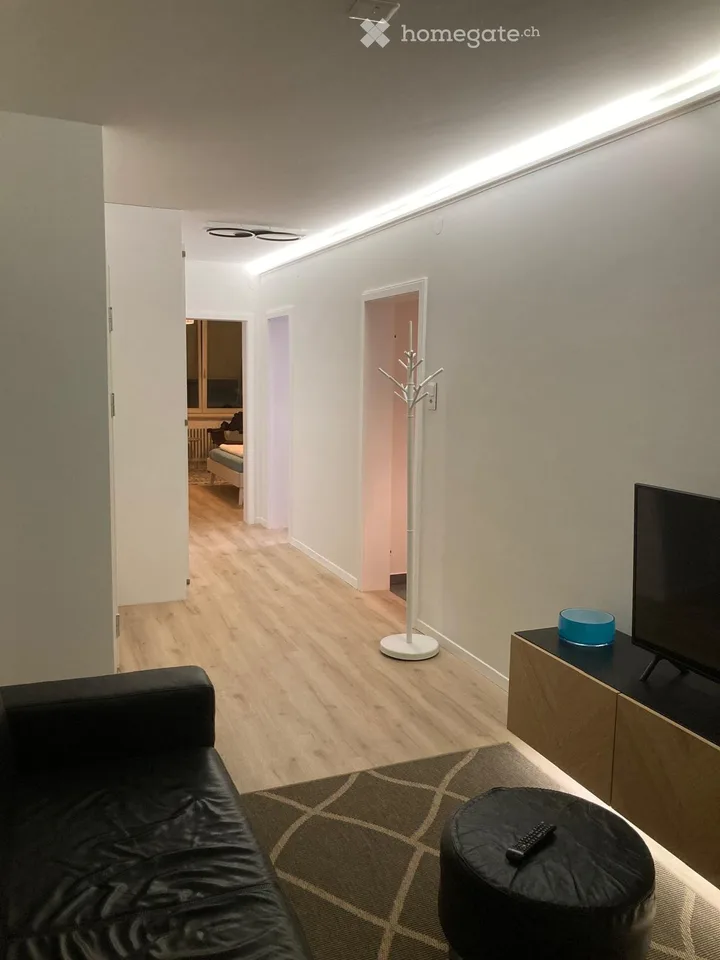 Frisch renovierte Möbelierte Wohnung // Top Lage in Basel – Foto 3 von 5