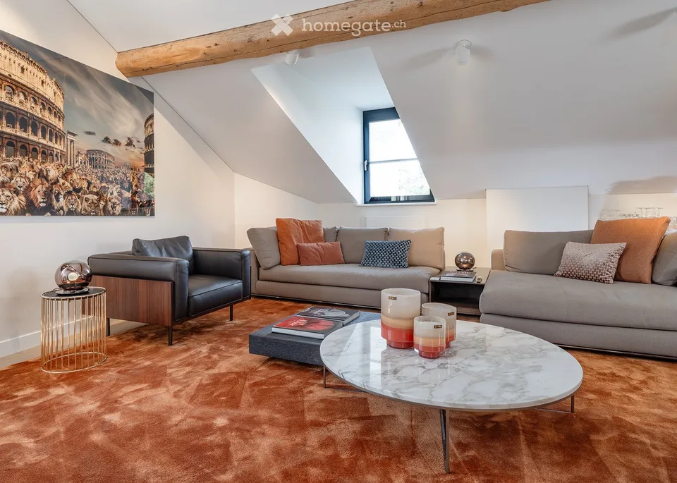 VIEUX-CAROUGE - 3 Place du Rondeau - LOFT ATTIQUE 130m2 SANS MUR PORTEUR – Foto 2 von 17