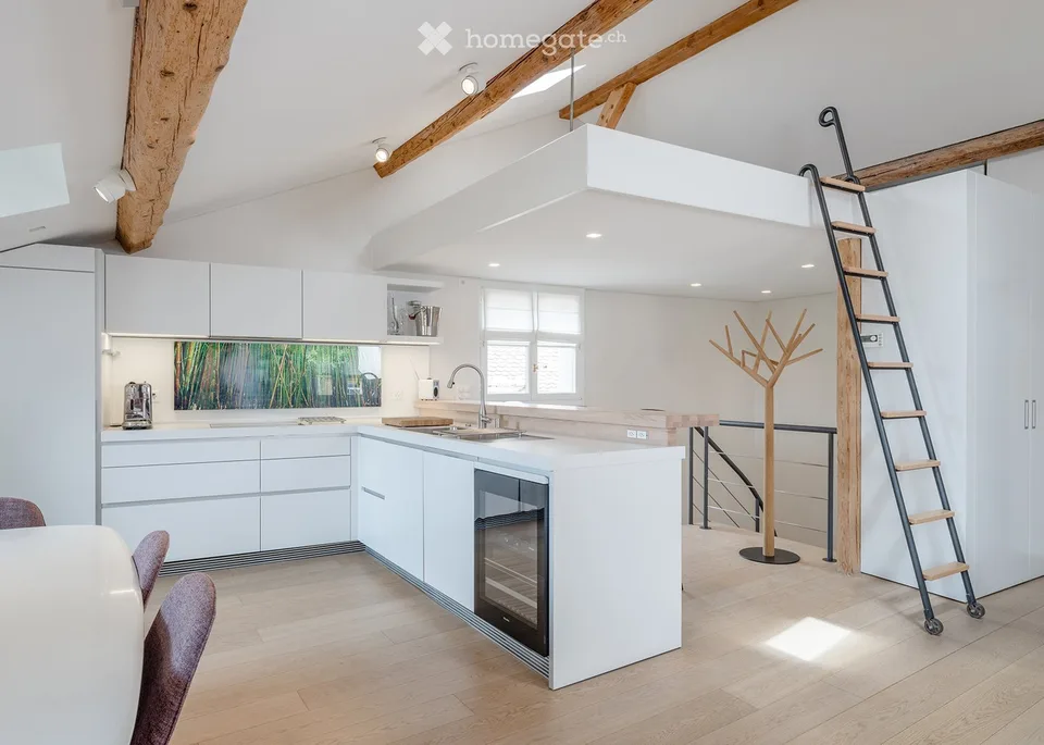 VIEUX-CAROUGE - 3 Place du Rondeau - LOFT ATTIQUE 130m2 SANS MUR PORTEUR – Foto 5 von 17