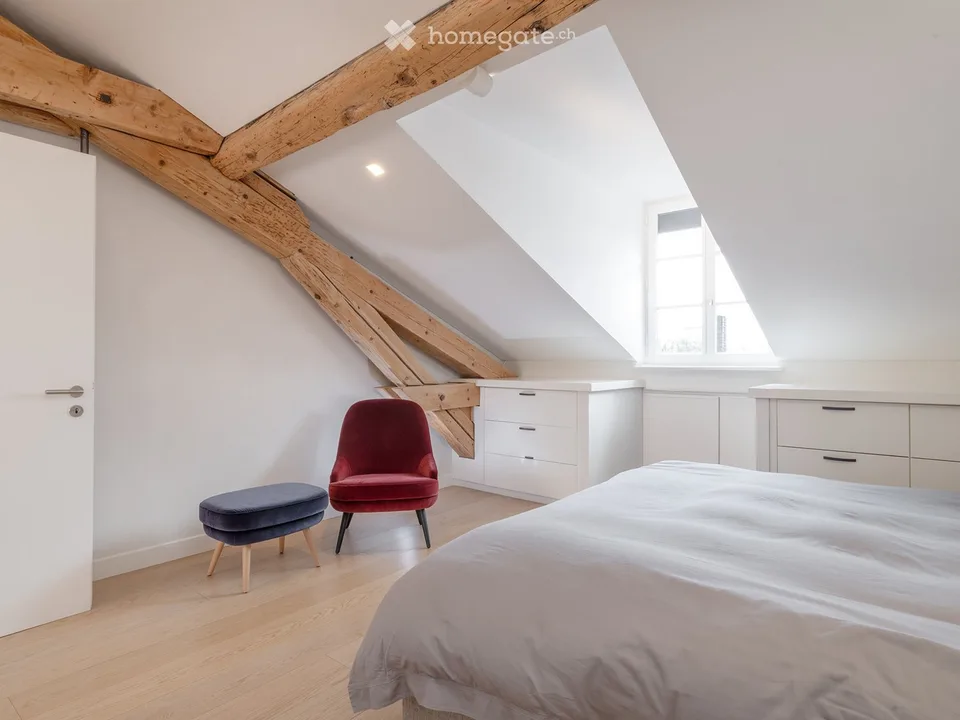 VIEUX-CAROUGE - 3 Place du Rondeau - LOFT ATTIQUE 130m2 SANS MUR PORTEUR – Foto 12 von 17