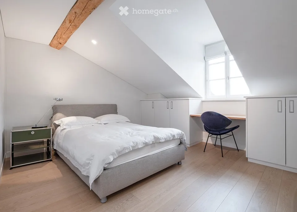 VIEUX-CAROUGE - 3 Place du Rondeau - LOFT ATTIQUE 130m2 SANS MUR PORTEUR – Foto 11 von 17
