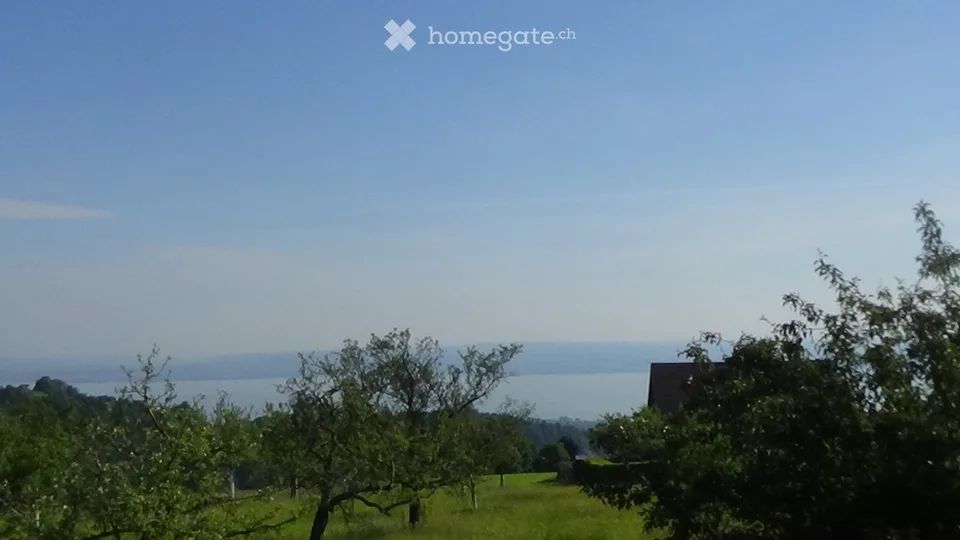 Im Grünen: Garten. öV 8 min. Bodensee-Blick – Foto 4 von 5
