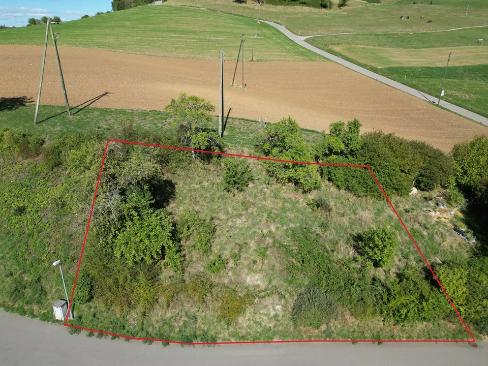 Baulandparzelle an exklusiver Aussichtslage in Zeglingen BL – Foto 3 von 15