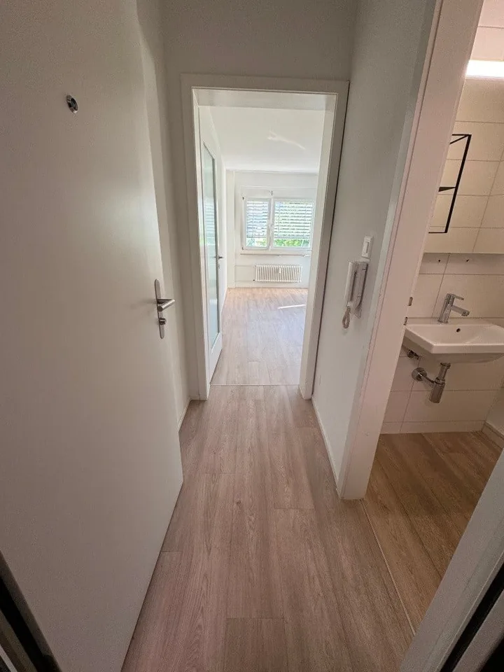 Appartamento luminoso di 1 camera con balcone - vicino allo Zoo di Basilea – foto 4 di 8