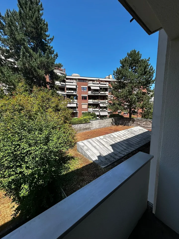 Appartamento luminoso di 1 camera con balcone - vicino allo Zoo di Basilea – foto 7 di 8