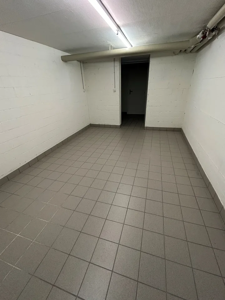 Hobby and storage room in Sternmattquartier for rent – photo 3 of 3