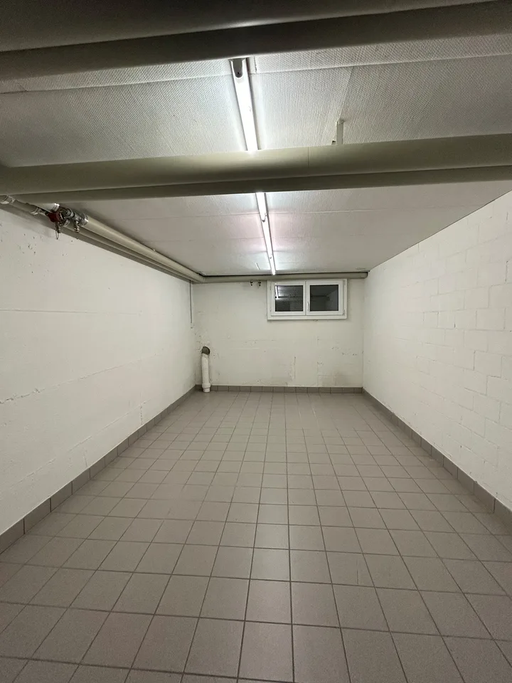 Hobby and storage room in Sternmattquartier for rent – photo 2 of 3