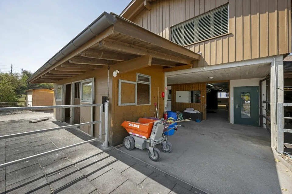 Struttura equina Mellingen – foto 10 di 20