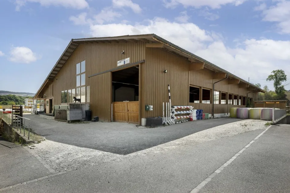 Struttura equina Mellingen – foto 5 di 20