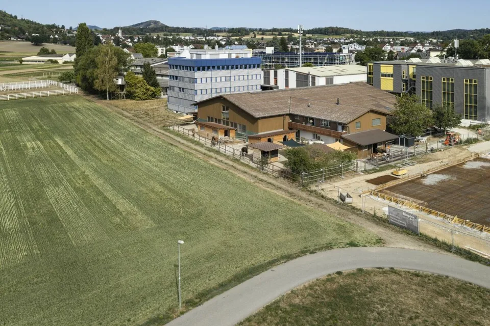 Struttura equina Mellingen – foto 3 di 20