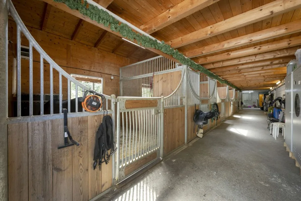 Struttura equina Mellingen – foto 11 di 20