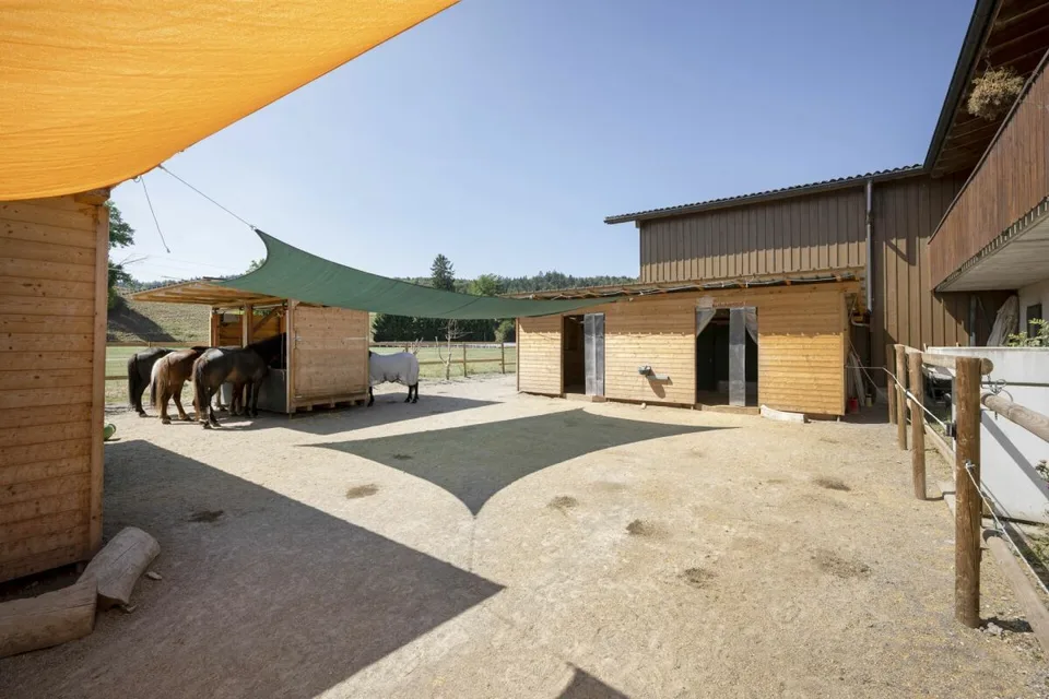 Struttura equina Mellingen – foto 17 di 20