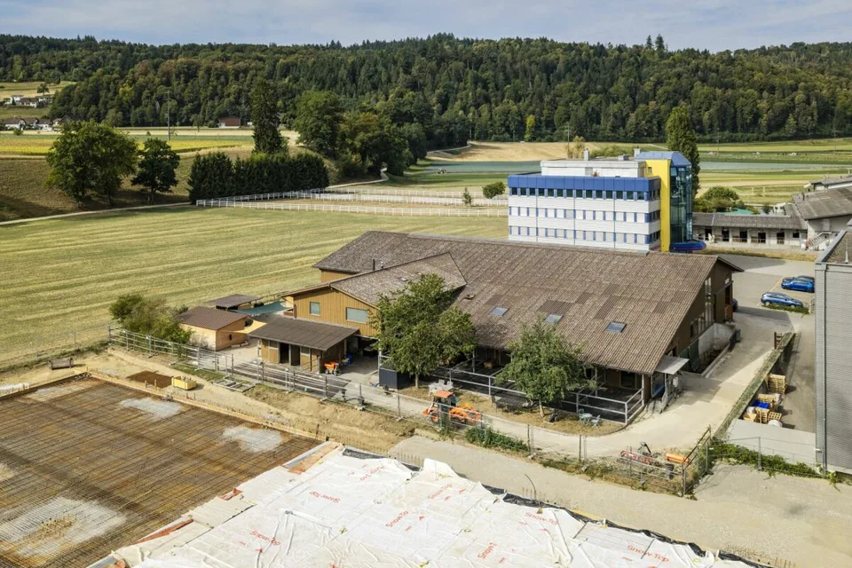 Struttura equina Mellingen – foto 4 di 20