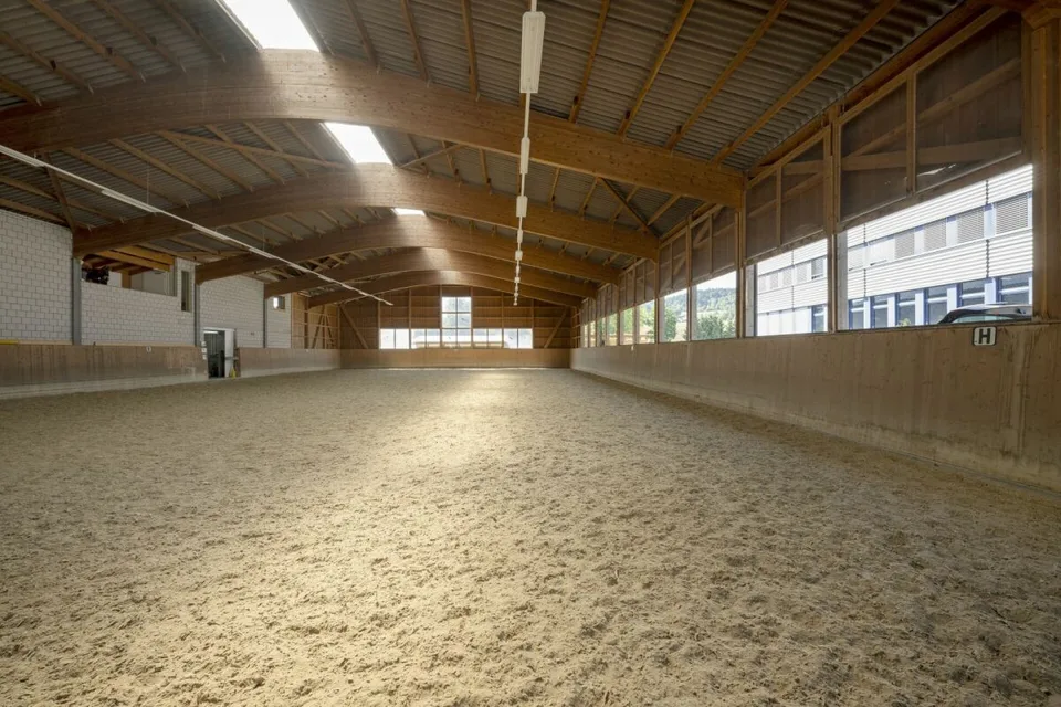 Struttura equina Mellingen – foto 2 di 20