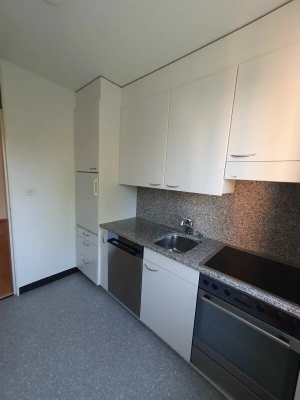 Beautiful 2.5-room apartment in Langenthal – photo 4 of 15