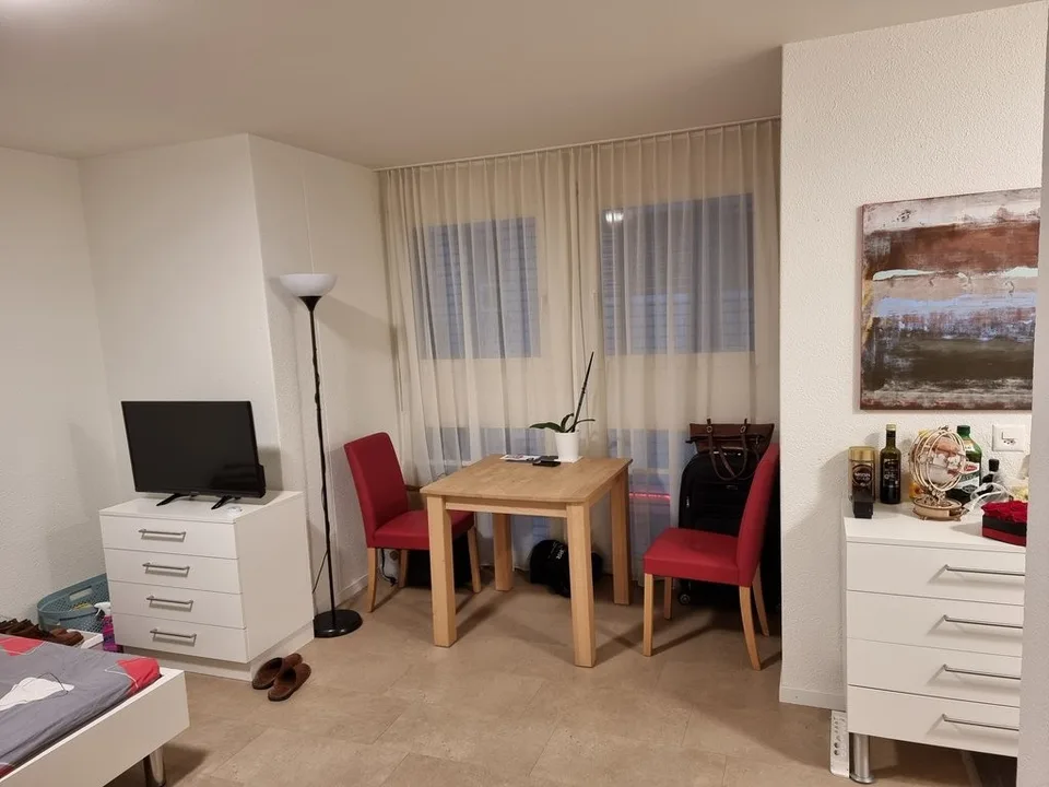 Appartamento arredato nel cuore di Zurigo – foto 5 di 8