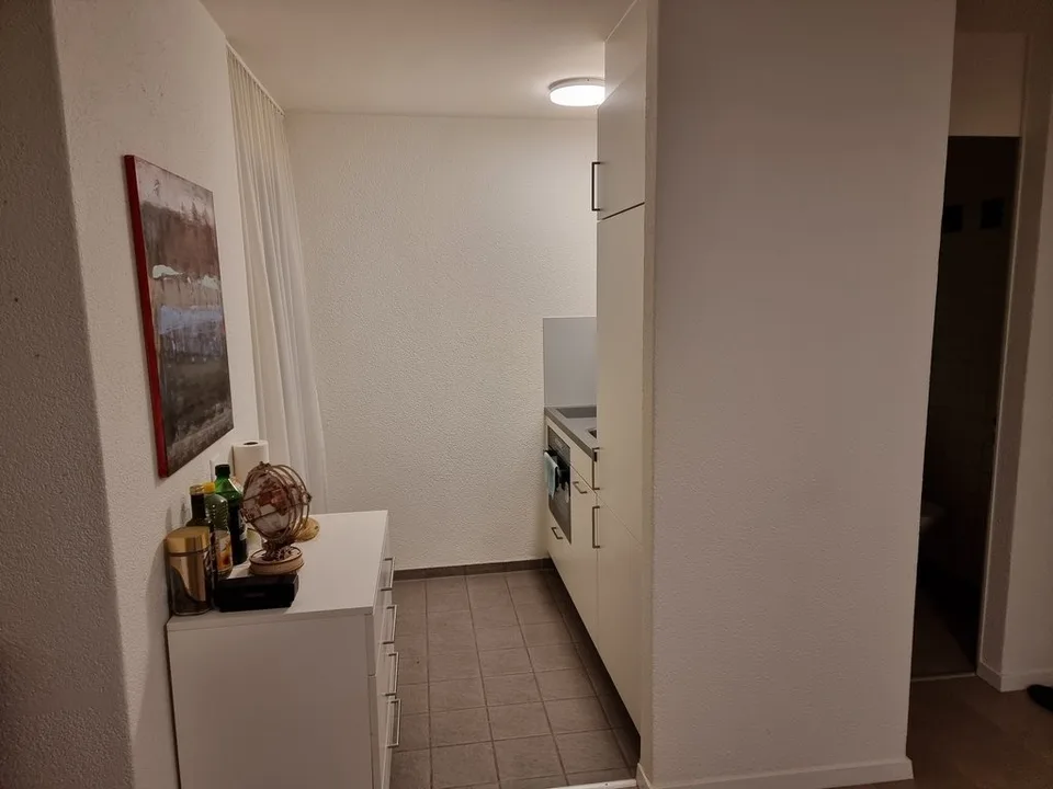 Appartamento arredato nel cuore di Zurigo – foto 2 di 8
