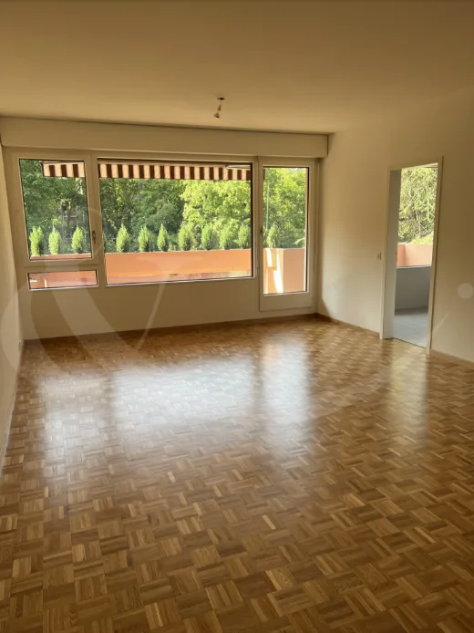 Route de Frontenex 110, Superba appartamento di 5 locali con vista impareggiabile su Ginevra e il lago. – foto 3 di 5