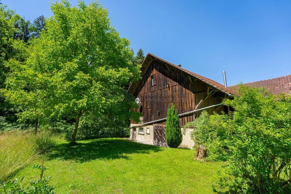 Idylle campagnarde moderne pour les humains et les animaux – photo 13 sur 13