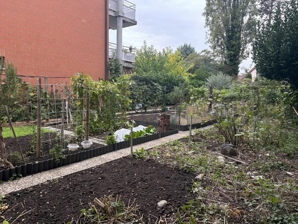 Exklusiv! Charmantes 5-Zimmer-Wohnung im Herzen von Onex – Foto 13 von 13