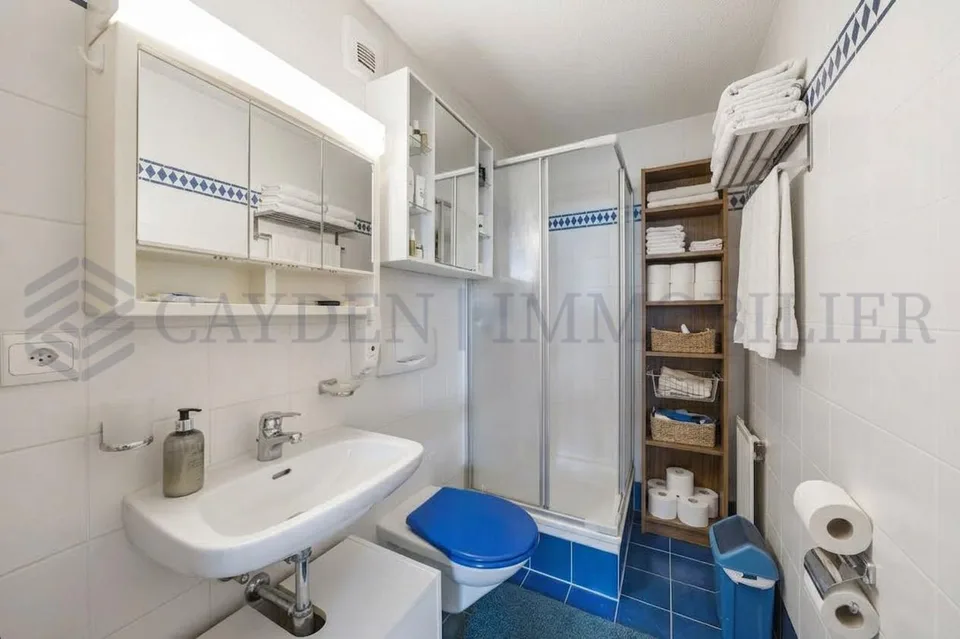 Exklusiv! Charmantes 5-Zimmer-Wohnung im Herzen von Onex – Foto 12 von 13