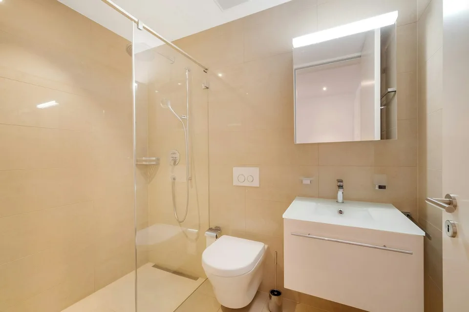 Vista panoramica incontra comfort abitativo - La tua nuova casa a Höngg – foto 10 di 13