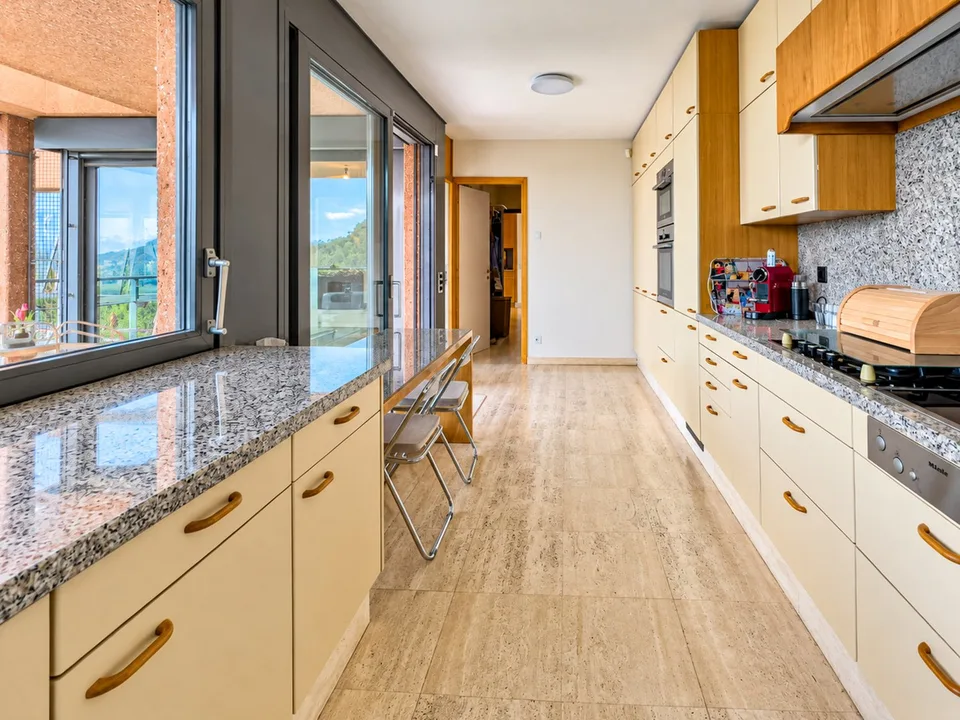 Villa con piscina e giardino a Pregassona – foto 5 di 21