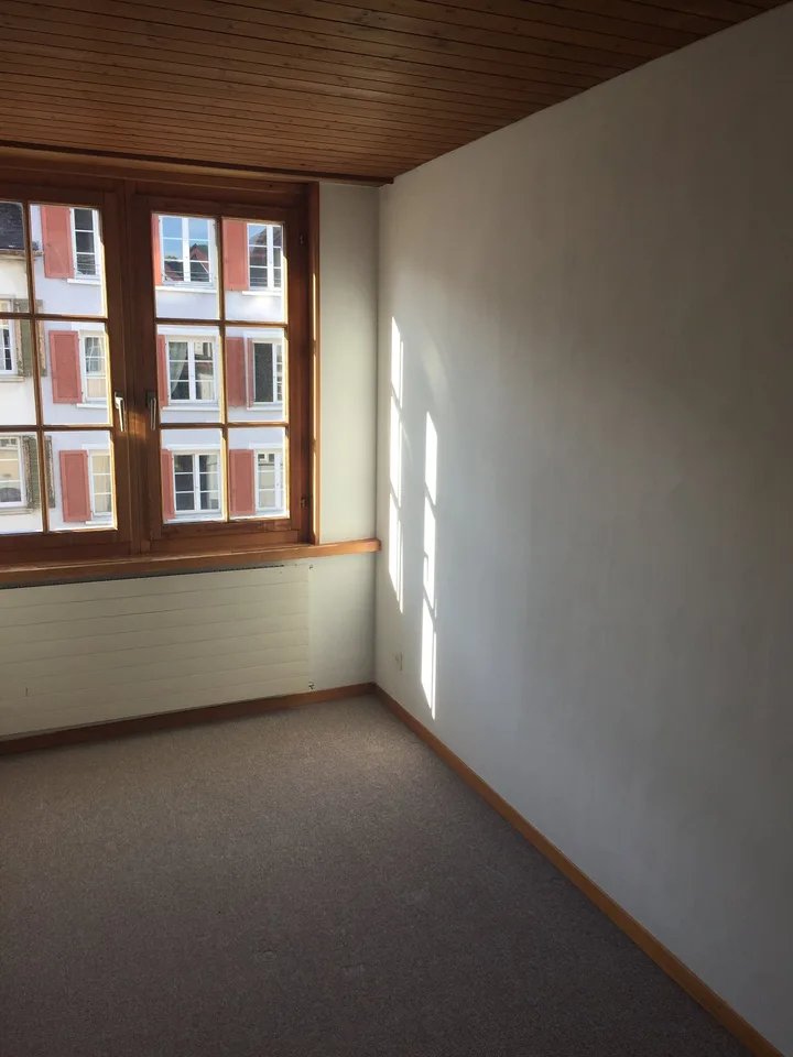 Appartamento di 3,5 locali vecchio stile accogliente con parcheggio e ampio posto a sedere – foto 8 di 10