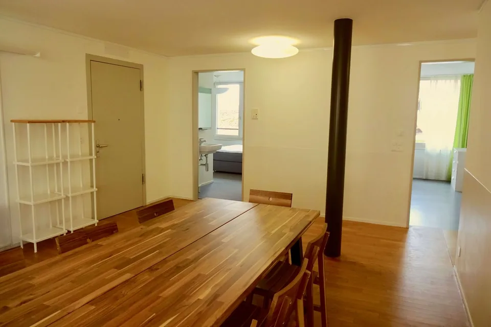 Cozy 1-Room Apartment with Balcony in a Flat-Sharing Community – Zürich Seebach – foto 9 di 10