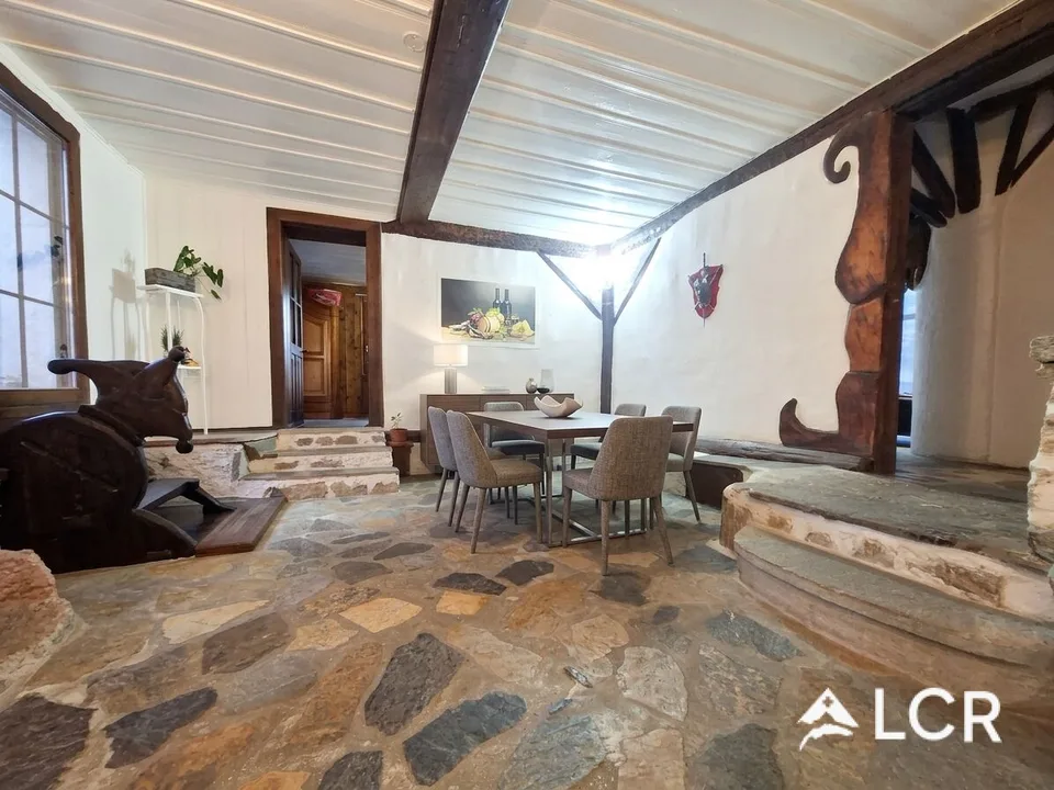 Schönes Apartment mit 3.5 Zimmern und einem separaten 2.5-Zimmer-Apartment darunter / Gärten und Terrasse – Foto 6 von 11