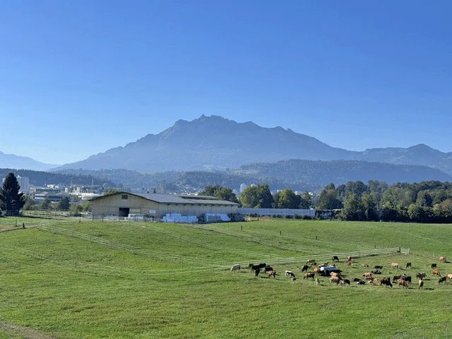 Wohnen mit herrlichem Weitblick ... neu - modern - grosszügig – Foto 7 von 14
