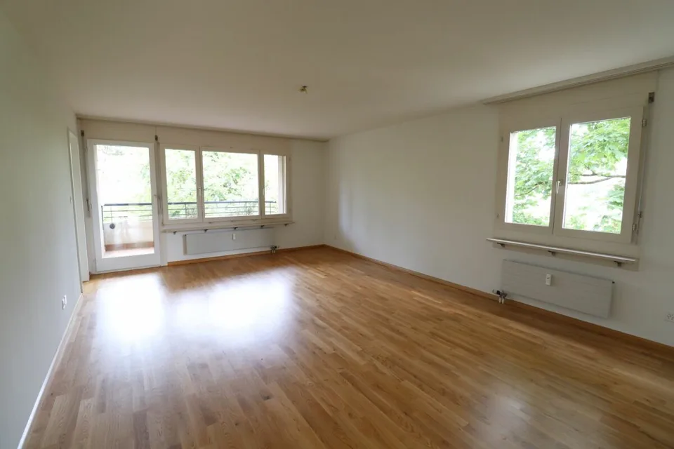 Près de Morgartenring et Schützenmattpark - Appartement de 3,5 pièces confortable à Allschwil – photo 6 sur 11