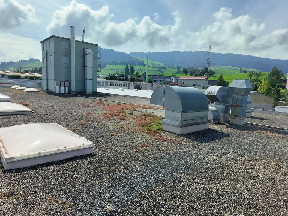 Vielseitige Gewerbe- und Lagerflächen in Samstagern – ideal auch als Handwerkerzentrum – Foto 9 von 9