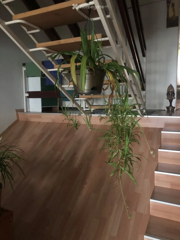 3 Zimmer Durchgangswohnung mit 79 m², Balkon und Seeblick – Foto 4 von 5
