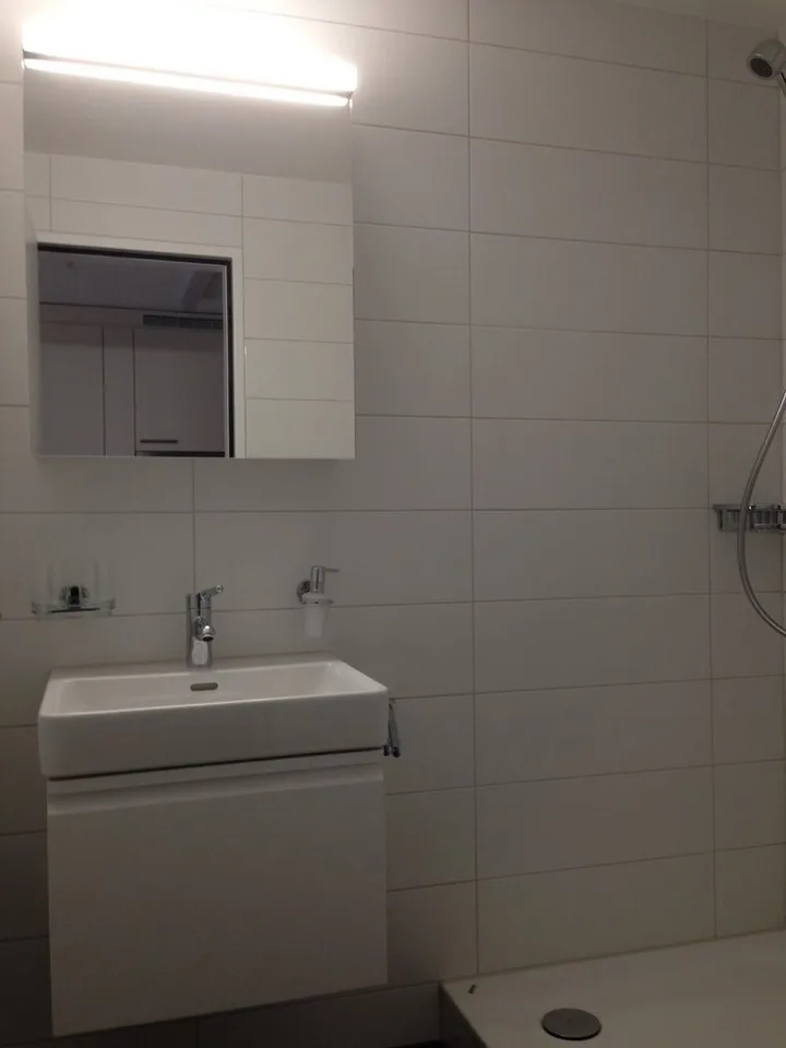 Appartamento di 1,5 locali nel parco Pestalozzi – foto 4 di 7
