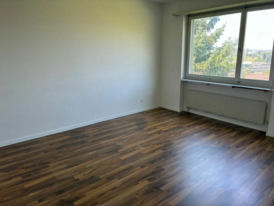 Appartement temporaire de 3,5 pièces à Ebikon – photo 3 sur 4