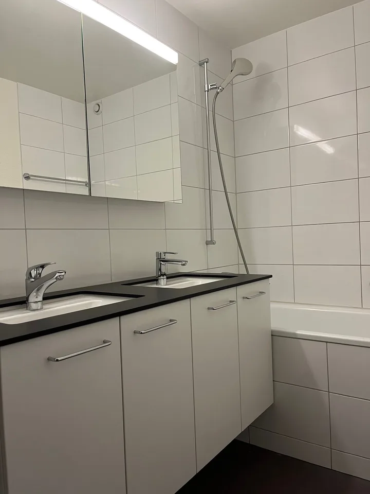 Vivere a Pratteln! – foto 4 di 6