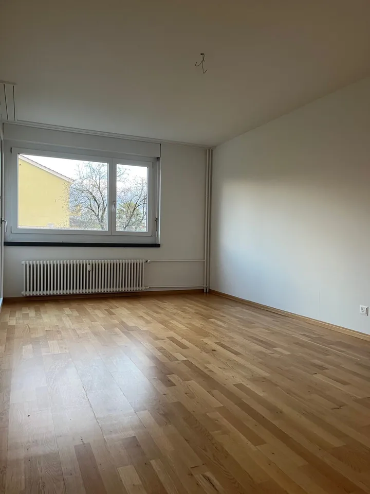 Vivere a Pratteln! – foto 6 di 6