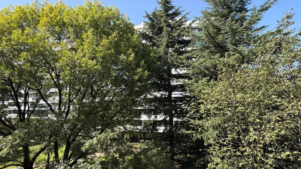 Appartamento di quattro locali vicino al quartiere delle Nazioni – foto 11 di 13